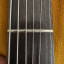 RESERVADA!!!! ----- MEJORADA - PRS SE Pauls Guitar