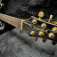 Fernandes APG-100 Premium