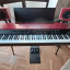 Nord Grand Piano + Monitores Nord + Porta partituras