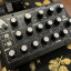 Moog Minitaur