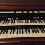Hammond H100 1968 Organ Tonewheels (TB Cambio)