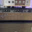 Fender Bassman Amp Head – Blackface AB165 de 1966-67 Export Only