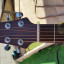 Guitarra Acústica Alhambra NW-1 (Fishman Rare Earth) vendo/cambio