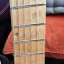 Strandberg Boden 6 cuerdas (push-pull)