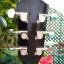 Acústica Fender DG-5