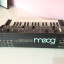 Sintetizador analógico Moog the Rogue