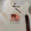 Cuerpo Fender Telecaster Mex