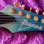 IBANEZ rg 421 mejorada y maleta