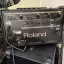 ROLAND SA 300