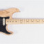Fender Stratocaster American professional ash natural 2019 -- CAMBIOS