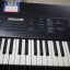 Sintetizador Sampler Korg dss1