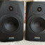 Monitores Tannoy Reveal Active 6.5"