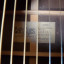 Tokai Cats Eye´s CE70T - rara 00028 guitarra