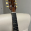 Cambio Cidre Les Paul