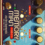 Electro Harmonix Deluxe Memory Man 1100 TT EHX