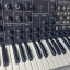 Korg MS20 MK1 (35 FILTER)