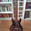 Ampeg amg1 (o cambio)