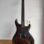 Knaggs severn x tier 2
