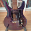 Ampeg amg1 (o cambio)