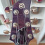Ampeg amg1 (o cambio)