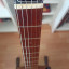 Ampeg amg1 (o cambio)