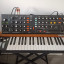 Behringer Poly D