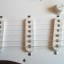 Vendo Fender Stratocaster, signature Eric Clapton, año 2011