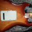 Fender Stratocaster American Profesional