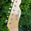 Fender Japan TL66B ASH Natural de 2005-2006