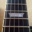 SIRE L7 - Larry Carlton WH + upgrades + funda Gator