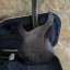 Schecter Hellraiser Extreme