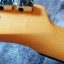 Telecaster American Professional