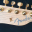 Fender telecaster richie kotzen/VENDIDA