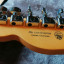 Telecaster American Professional