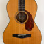 Fender Paramount PM-2E Standard Natural