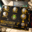Gurus Echosex 2