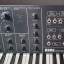 KORG MS-10 Sintetizador Analógico