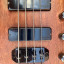 Cort Artisan B4FL Fretless + estuche rígido (impecable)