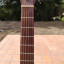 Guitarra electro acústica Tanglewood TW40 PD