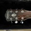 Electroacústica Washburn ajustada por luthier