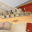 Fender Telecaster ‘50 Thinline Custom Shop NOS ###RESERVADA###
