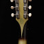 Vegarelics Junior 54 Silverburst