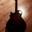 Guitarra PRS SE 245 Singlecut