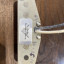 Pastillas Fender Custom Shop Abigail Ybarra