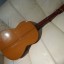 Vendo: Guitarra flamenca