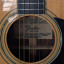 Fender F-65 (1979) acústica