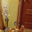 Fender Squier Classic Vibe 70 Jazz bass