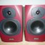 Tannoy Reveal Studio Monitor red