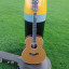 TAYLOR GS5e Acústica Alta Gama RESERVADA