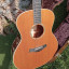 TAYLOR GS5e Acústica Alta Gama RESERVADA
